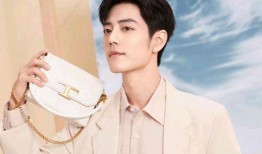 肖战工作室最新爆料,揭秘背后故事与真实情感